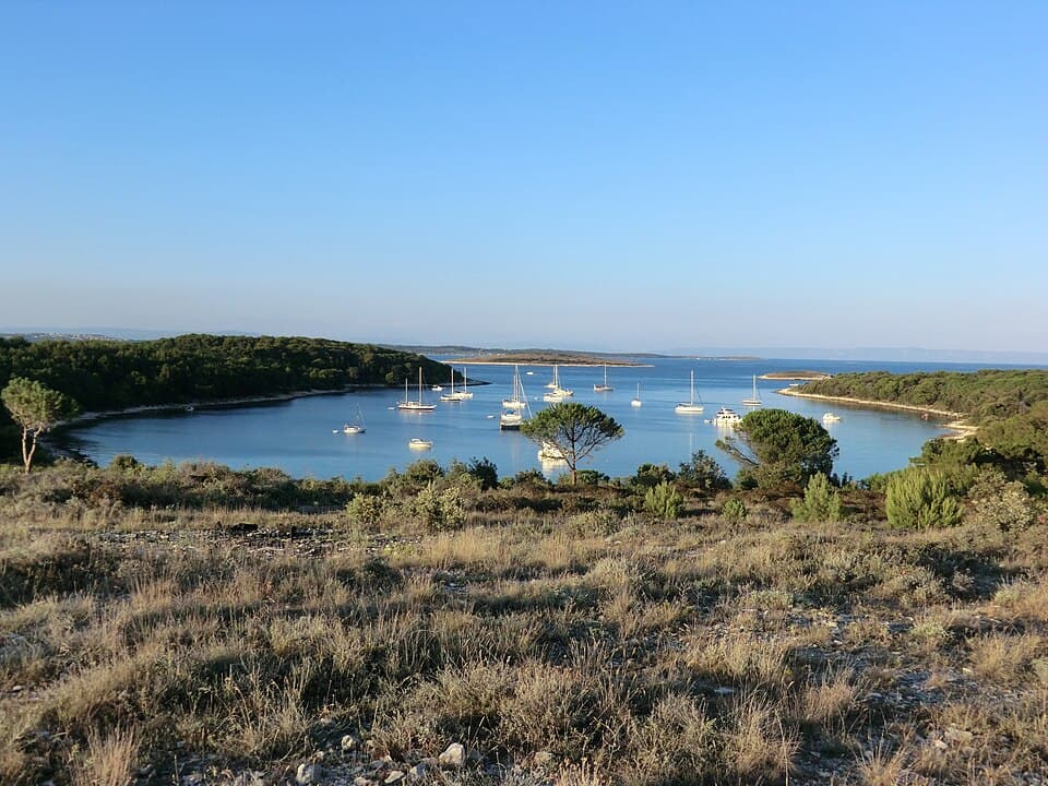 Photos of Portić: Uvala Portic